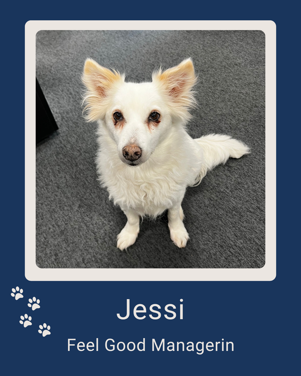 Jessy