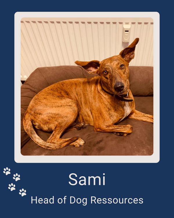 Samy